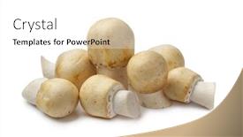  Presentation with white horse - Cool new PPT theme with agaricus - group of fresh horse mushroom backdrop and a white colored foreground