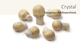  Presentation with white horse - Slide deck with group-of-fresh-horse-mushrooms background and a lemonade colored foreground