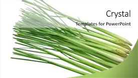  Presentation with lemongrass herb plant fresh leaves - Slides with group of fresh lemongrass stems background and a white colored foreground