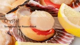  Presentation with coral - Presentation consisting of group-of-fresh-opened-scallop background and a coral colored foreground