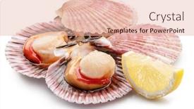  Presentation with lemon - Presentation design having group-of-fresh-opened-scallop background and a lemonade colored foreground