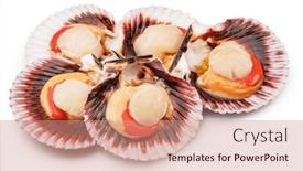  Presentation with group - Presentation design enhanced with group-of-fresh-opened-scallop background and a  colored foreground