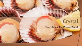  Presentation with coral - PPT theme with group-of-fresh-opened-scallop background and a coral colored foreground