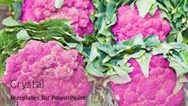  Presentation with cauliflower - Presentation design consisting of group-of-fresh-purple-cauliflower background and a coral colored foreground