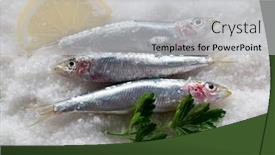  Presentation with sardines - Audience pleasing presentation consisting of group-of-fresh-sardines-over backdrop and a light gray colored foreground