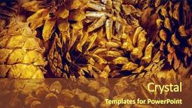  Presentation with pine cone - Presentation with group of golden pine cone background and a tawny brown colored foreground