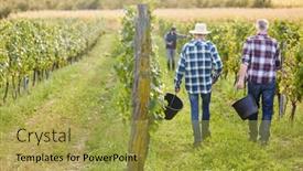  Presentation with group - Slide deck featuring group-of-harvest-workers background and a yellow colored foreground