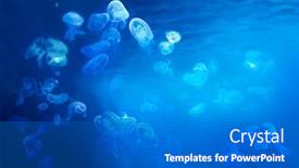  Presentation with marine life - Colorful PPT layouts enhanced with group-of-jellyfish-floating backdrop and a gray colored foreground