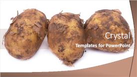  Presentation with soil - Amazing slide deck having group-of-new-potatoes backdrop and a red colored foreground