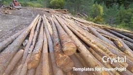  Presentation with pine forest - Presentation theme consisting of group of pine logs felled in a forest anso valley pyrenees huesca aragon spain background and a coral colored foreground