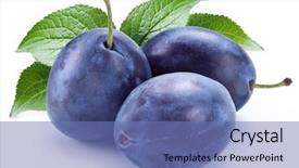  Presentation with group of wildlife crocodile isolated - Beautiful presentation theme featuring group of plums with plum backdrop and a teal colored foreground