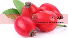  Presentation with rose hips - Slides featuring group of rose hips isolated background and a red colored foreground