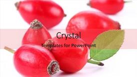  Presentation with hip - Slides having group of rose hips isolated background and a red colored foreground