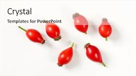  Presentation with white rose - Cool new presentation theme with group of rose hips backdrop and a cream colored foreground