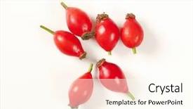  Presentation with hip - Presentation theme featuring group of rose hips background and a  colored foreground