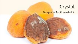  Presentation with group - PPT theme enhanced with group-of-rotten-apricots-isolated background and a blonde colored foreground
