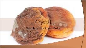  Presentation with group - Presentation design consisting of group-of-rotten-apricots-isolated background and a coral colored foreground