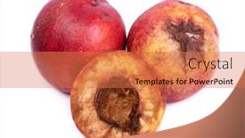  Presentation with group - Amazing presentation design having group-of-rotten-nectarines-isolated backdrop and a coral colored foreground
