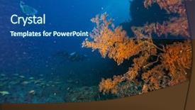  Presentation with divers - Slides with group of scuba divers underwater examine coral reef background and a ocean colored foreground