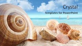  Presentation with seashells museum - Beautiful theme featuring seashells on the beach backdrop and a light blue colored foreground