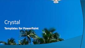  Presentation with palm beach - Presentation theme enhanced with group-of-tall-palm-trees background and a gray colored foreground