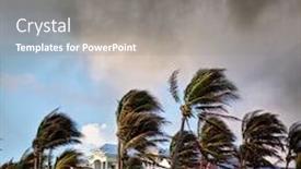  Presentation with tall buildings - Cool new presentation theme with group-of-tall-palm-trees backdrop and a gray colored foreground