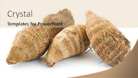  Presentation with white clay tiled roof - PPT theme enhanced with group-of-taro-roots background and a coral colored foreground