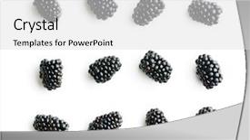  Presentation with blackberry - Audience pleasing slides consisting of group of tasty ripe blackberry backdrop and a light gray colored foreground