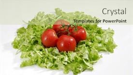  Presentation with lettuce - Cool new PPT layouts with group-of-tomatoes-on-lettuce backdrop and a soft green colored foreground