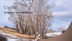  Presentation with eagle - Slide deck enhanced with group-of-trees-in-eagle background and a sky blue colored foreground