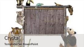  Presentation with blank - Cool new PPT theme with group of wild animals backdrop and a light gray colored foreground