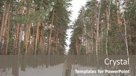  Presentation with pine forest - Cool new slides with group-of-young-affectionate-friends backdrop and a gray colored foreground