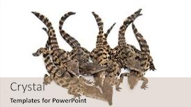  Presentation with west - Presentation theme enhanced with group-of-young-west-african background and a coral colored foreground