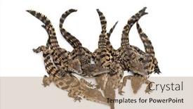  Presentation with west - Slide deck with group-of-young-west-african background and a coral colored foreground