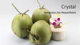  Presentation with coconut fruit - Amazing slide deck having group shot of few coconuts backdrop and a light gray colored foreground