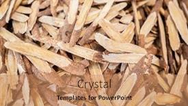  Presentation with traditional medicine medicine - PPT theme having group-stacks-of-traditional-chinese background and a coral colored foreground