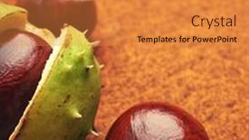  Presentation with groups - 