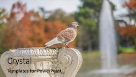  Presentation with groups - Colorful PPT theme enhanced with groups of sparrows resting backdrop and a coral colored foreground