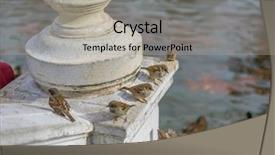  Presentation with groups - Cool new PPT layouts with groups of sparrows resting backdrop and a light gray colored foreground