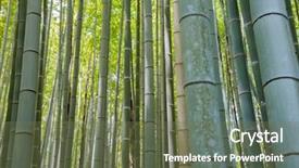  Presentation with city japan - Presentation design having grove forest in kyoto city background and a tawny brown colored foreground