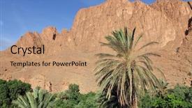  Presentation with palm tree - Audience pleasing presentation design consisting of grove in dades valley morocco backdrop and a  colored foreground