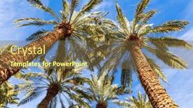  Presentation with sun desert - Slide set featuring grove-of-date-palms-tall background and a  colored foreground