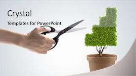 Presentation with plant - Presentation design having grow money - image of human hand cutting background and a  colored foreground