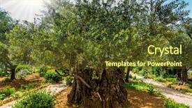  Presentation with gethsemane - Cool new slide deck with grow on red-orange sandstone backdrop and a tawny brown colored foreground