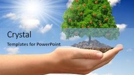  Presentation with growing tree - Presentation theme with growing apple tree in hand background and a  colored foreground