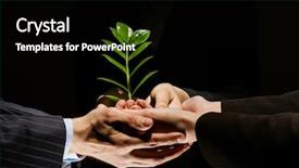  Presentation with business growing - Colorful presentation design enhanced with growing business - close up of businessmen hands backdrop and a black colored foreground