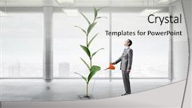  Presentation with business growing - Colorful PPT theme enhanced with growing business - make your income grow backdrop and a light gray colored foreground