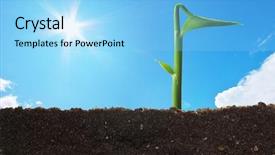  Presentation with nature design - Beautiful PPT theme featuring growing business - spring sprout conceptual nature design backdrop and a light blue colored foreground