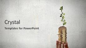  Presentation with sprout - Amazing theme having growing economy - close up of human hand backdrop and a light gray colored foreground