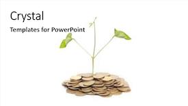  Presentation with growing tree - Presentation theme with growing from pile of coins background and a  colored foreground